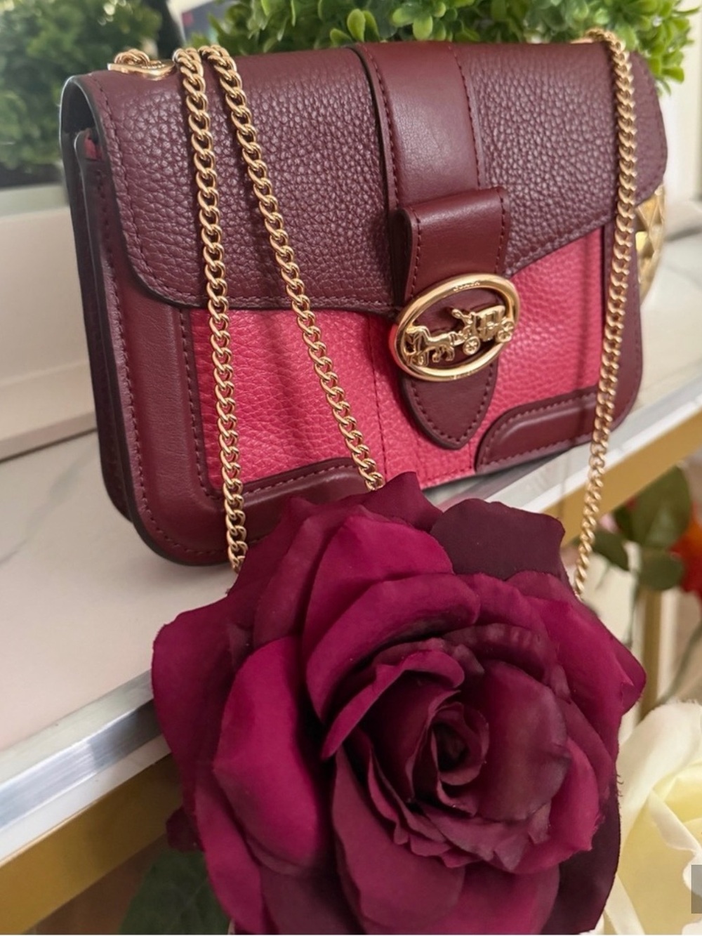 Beautiful & Unique Coach Chain Bag ✨
